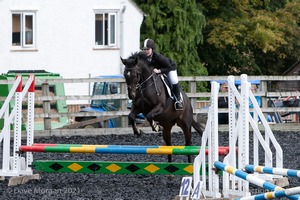 Class 3 -  Fences not above 2'3